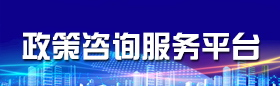 政策咨詢綜合服務平臺